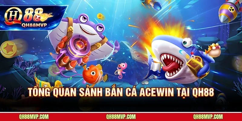 ACEWIN bắn cá tại QH88 với chiều sâu chiến thuật vượt trội